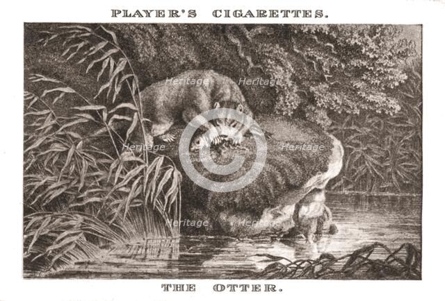 'The Otter', (1924). Creator: Unknown.