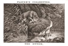 The Otter (1924). Creator: Unknown