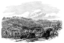 The Outbreak in Jamaica: Muirton House and Plantation, Morant Bay, 1865. Creator: Unknown