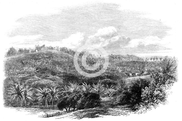 The Outbreak in Jamaica: Muirton House and Plantation, Morant Bay, 1865. Creator: Unknown.