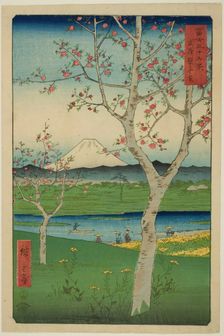 The Outskirts of Koshigaya in Musashi Province (Musashi Koshigaya zai), from the series..., 1858. Creator: Ando Hiroshige