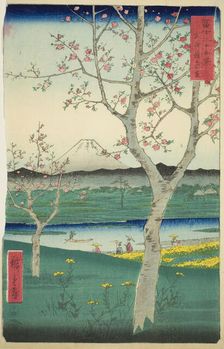 The Outskirts of Koshigaya in Musashi Province (Musashi Koshigaya zai), from the..., 1858. Creator: Ando Hiroshige