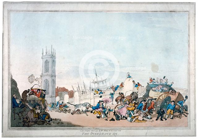 'The Overdrove ox', 1790. Artist: Anon