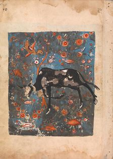 The Ox Shanzabeh Left Behind, Grazing in the Territory of the Lion King..., 18th century. Creator: Unknown