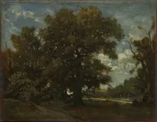 The Oak Tree, 19th century. Creator: Théodore Rousseau (French, 1812-1867), imitator of