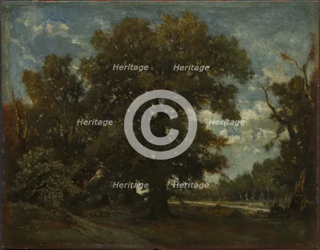 The Oak Tree, 19th century. Creator: Théodore Rousseau (French, 1812-1867), imitator of.