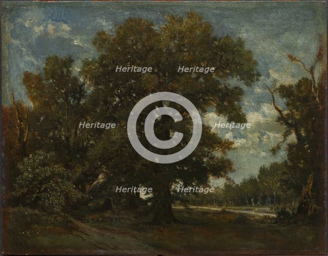 The Oak Tree, 19th century. Creator: Théodore Rousseau (French, 1812-1867), imitator of.