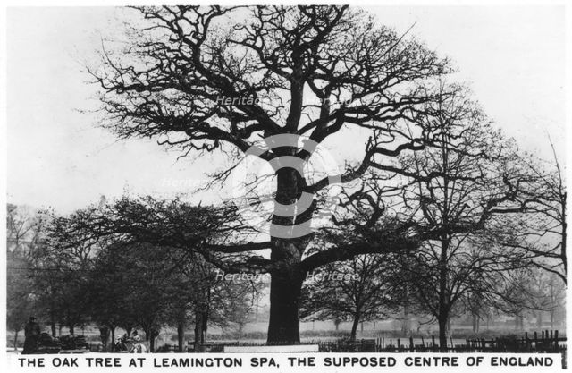 The oak at Leamington Spa, the supposed centre of England, 1936. Artist: Unknown