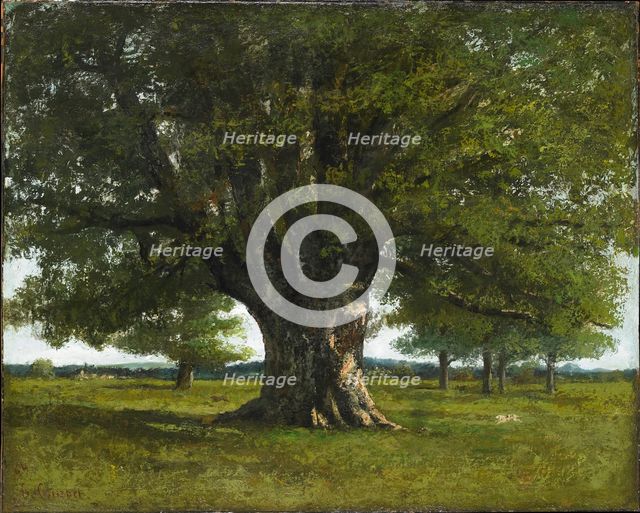 The Oak of Flagey (also known as the Oak of Vercingetorix, Caesar's camp near Alesia), 1864. Creator: Courbet, Gustave (1819-1877).