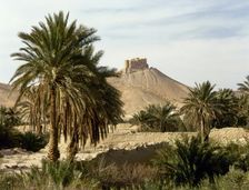 The Oasis of Palmyra, Syria, 1999. Creator: LTL