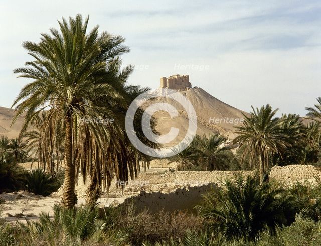The Oasis of Palmyra, Syria, 1999.  Creator: LTL.