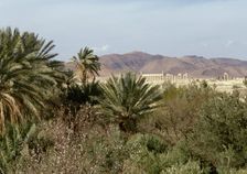 The Oasis of Palmyra, Syria, 1999. Creator: LTL