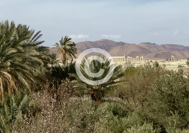 The Oasis of Palmyra, Syria, 1999.  Creator: LTL.