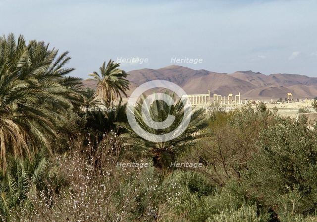 The Oasis of Palmyra, Syria, 1999.  Creator: LTL.