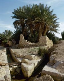 The Oasis of Palmyra, Syria, 1999. Creator: LTL