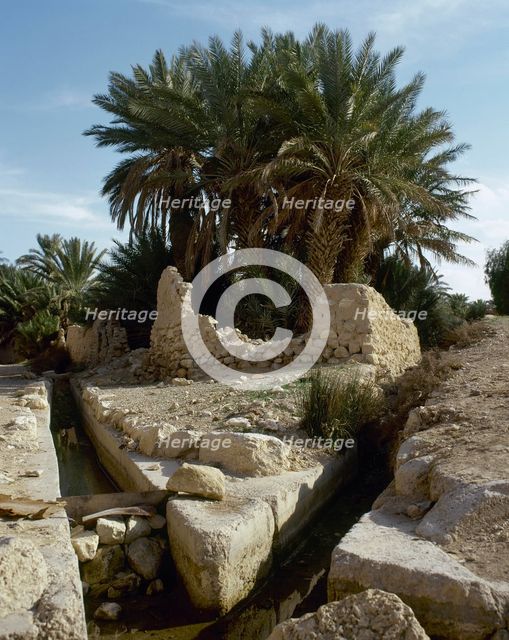 The Oasis of Palmyra, Syria, 1999.  Creator: LTL.
