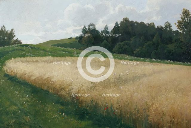 The oat field, 1906. Creator: Adolf Kaufmann.
