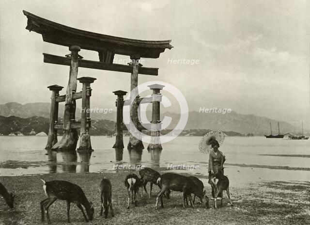 'The Old Torii at Miyajima', 1910. Creator: Herbert Ponting.