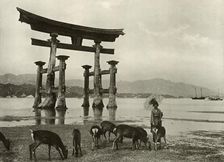 The Old Torii at Miyajima 1910. Creator: Herbert Ponting