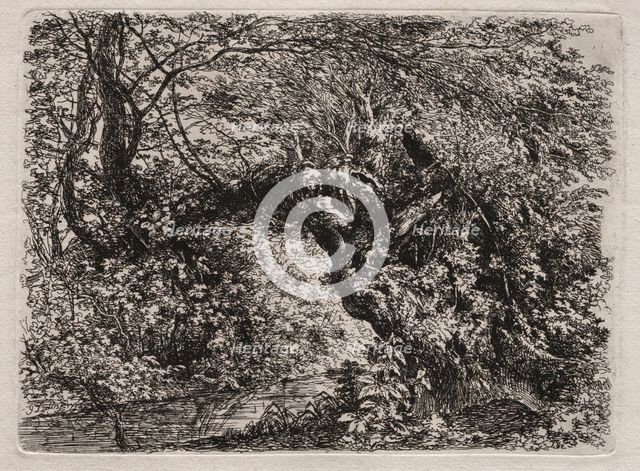 The Old Willow at a Brook, 1794. Creator: Georg von Dillis (German, 1759-1841).