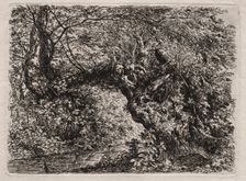 The Old Willow at a Brook, 1794. Creator: Georg von Dillis (German, 1759-1841)