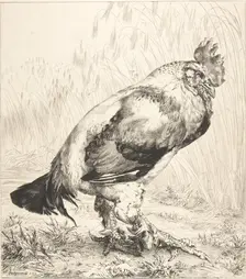 The Old Cock, 1882. Creator: Felix Bracquemond