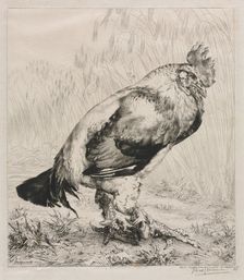 The Old Cock, 1882. Creator: Félix Bracquemond (French, 1833-1914); Dowdeswell