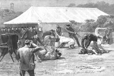 'The Old English Mastiff Club show at the Crystal Palace 1890. Creator: Unknown