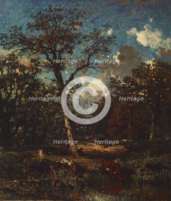 The Old Oak, 1845-1850. Creator: Jules Dupré.