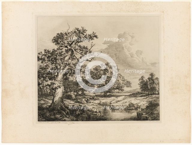 The Old Oak by the Pools at Bellecroix, 1843. Creator: Eugene Blery.
