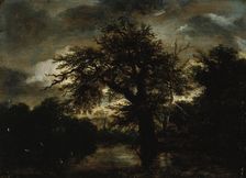 The Old Oak, c1648. Creator: Jacob van Ruisdael