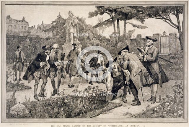 'The Old Physic Garden of the Society of Apothecaries at Chelsea, 1750', 1890. Artist: Thomas W Lascelles