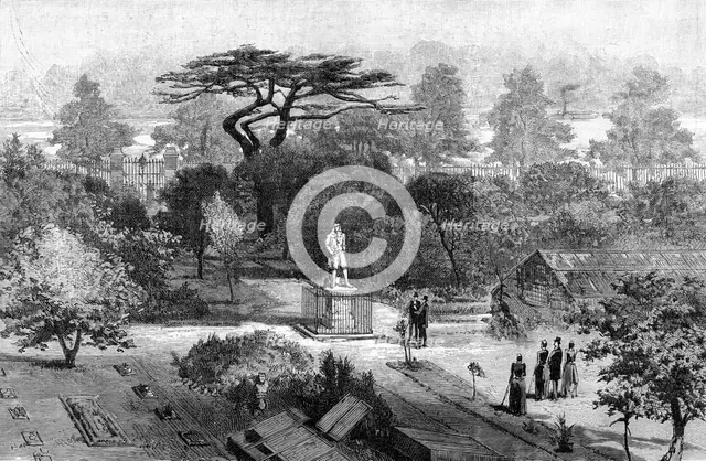 The old physic garden, Chelsea, 1890. Artist: Unknown