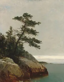 The Old Pine, Darien, Connecticut, 1872. Creator: John Frederick Kensett