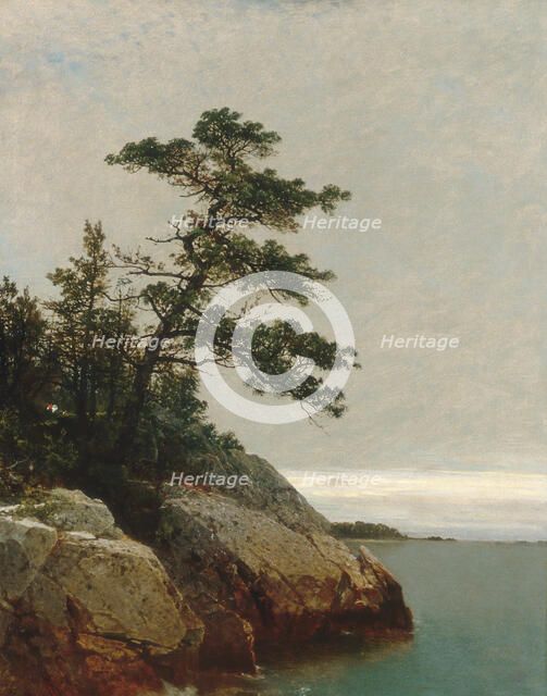 The Old Pine, Darien, Connecticut, 1872. Creator: John Frederick Kensett.