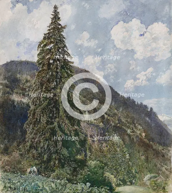 The old Spruce in Bad Gastein, 1899. Artist: Alt, Rudolf von (1812-1905)