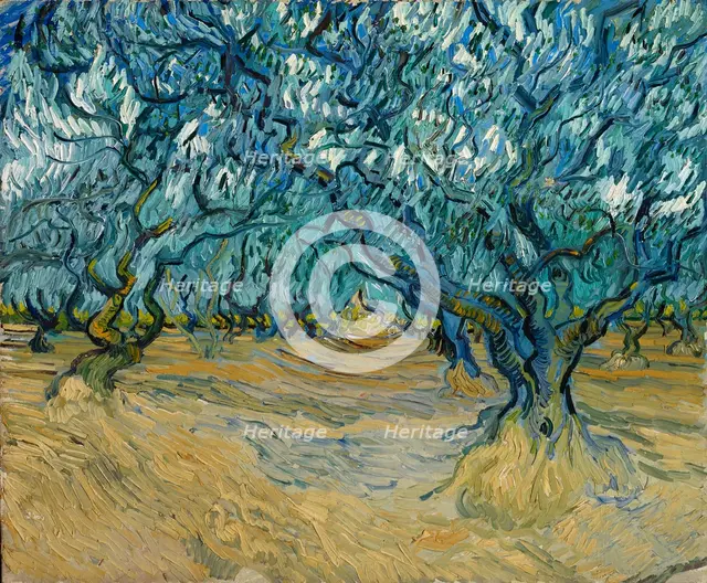 The Olive grove, Saint-Rémy, 1889. Creator: Gogh, Vincent, van (1853-1890).