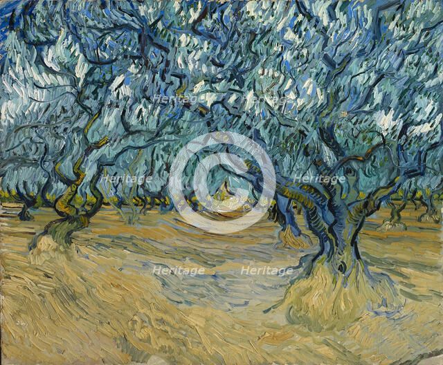 The Olive grove, Saint-Rémy, 1889. Creator: Gogh, Vincent, van (1853-1890).