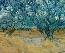The Olive grove, Saint-Rémy, 1889. Creator: Gogh, Vincent, van (1853-1890)