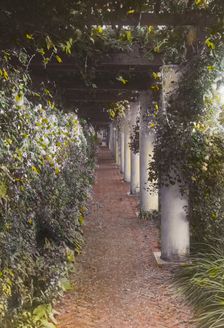 "The Orchard," James Lawrence Breese house, 151 Hill Street, Southampton, New York, 1912. Creator: Frances Benjamin Johnston