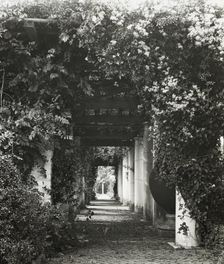 "The Orchard," James Lawrence Breese house, 151 Hill Street, Southampton, New York, 1912. Creator: Frances Benjamin Johnston