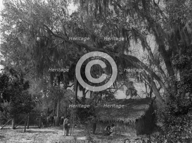 The Orange pickers, Ormond, between 1880 and 1899. Creator: Unknown.