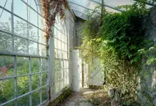 The orangery, 11 Lansdown Crescent, Bath, 1999. Artist: JO Davies