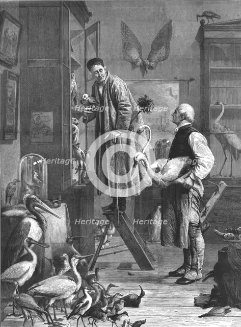 'The Ornithologist', mid-late 19th century. Artist: Unknown.
