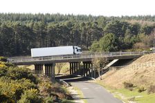 The A31 Dual Carriageway through New Forest