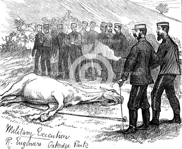 The Autumn Campaign on Cannock Chase, 1873. Creator: Unknown.