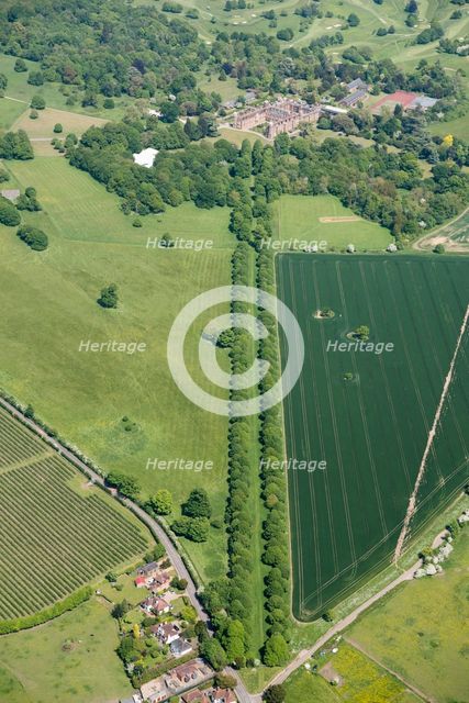 The Avenue at Cobham Hall Park, Cobham Park, Kent, 2018. Creator: Historic England.