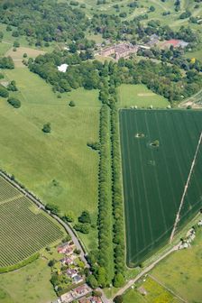 The Avenue at Cobham Hall Park, Cobham Park, Kent, 2018. Creator: Historic England