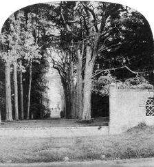 The Avenue, Guy's Cliff, Warwick, early 20th century