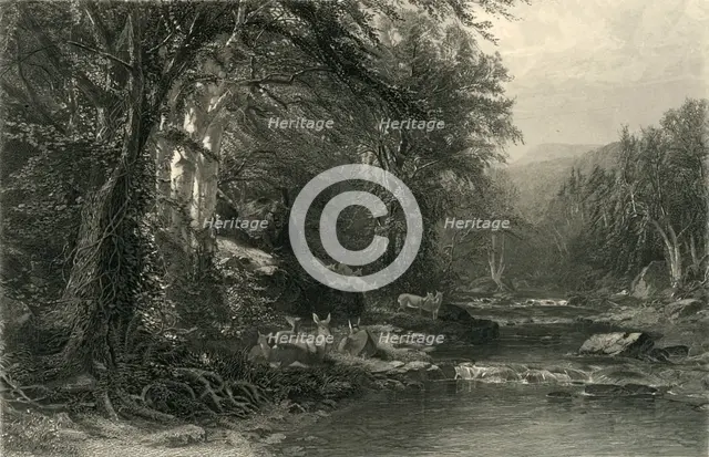 'The Adirondack Woods', 1874.  Creator: Robert Hinshelwood.
